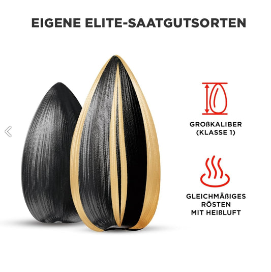 Jinn Kavrulmuş Ay Çekirdeği Tuzlu 12x250 g (3 kg)