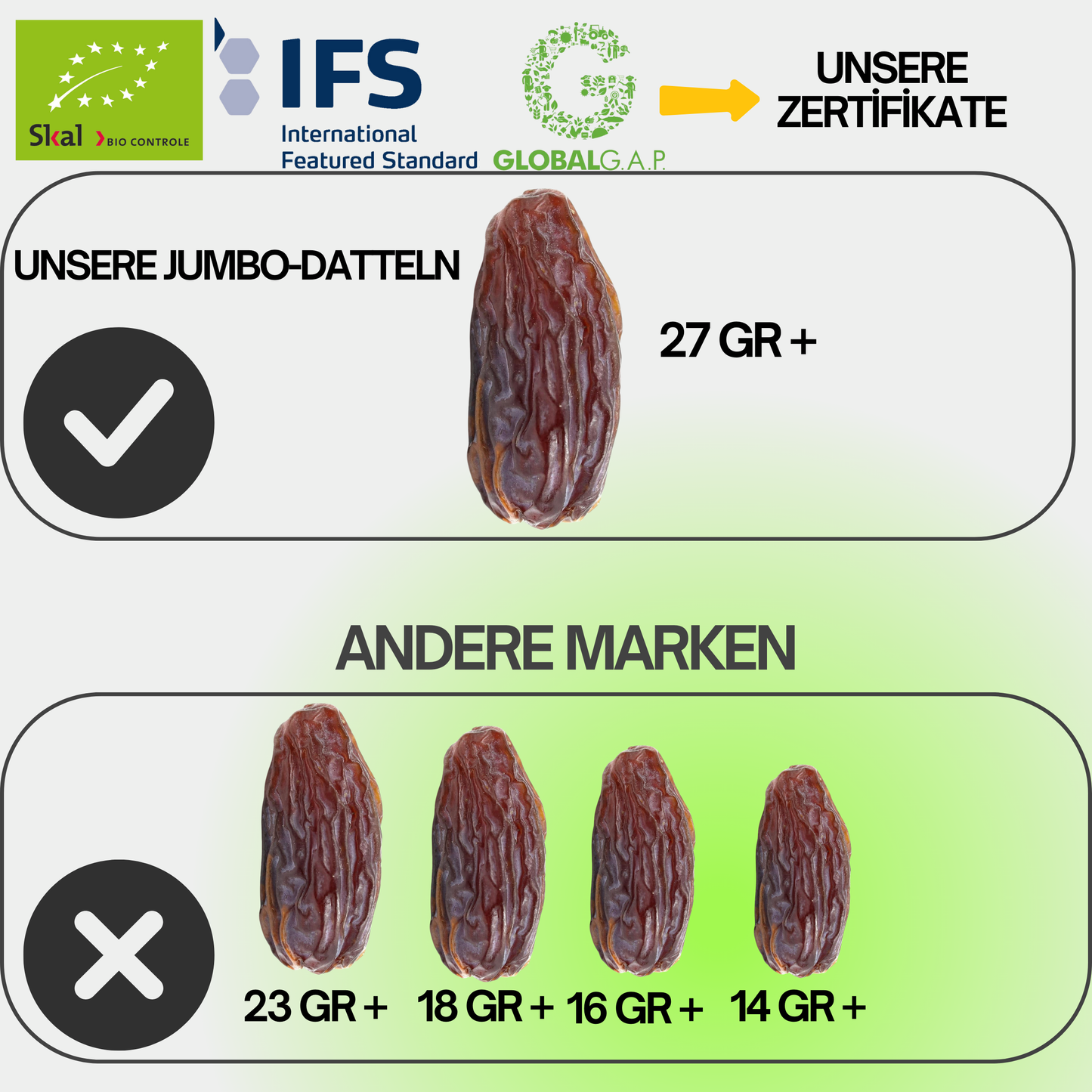 Medjoul Datteln Jumbo XL 5 kg