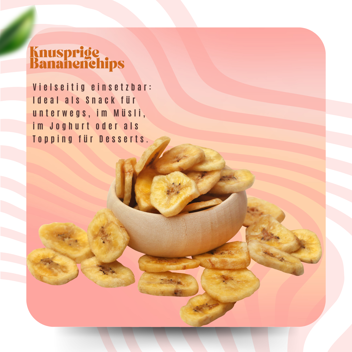 500 gr çıtır muz cipsi – doğal olarak tatlı ve hafifçe kurutulmuş | Hindistan cevizi yağı ile rafine edilmiş ve hafifçe tatlandırılmış | Öğün aralarında ve lor peyniri, müsli veya yoğurtla birlikte ideal atıştırmalık