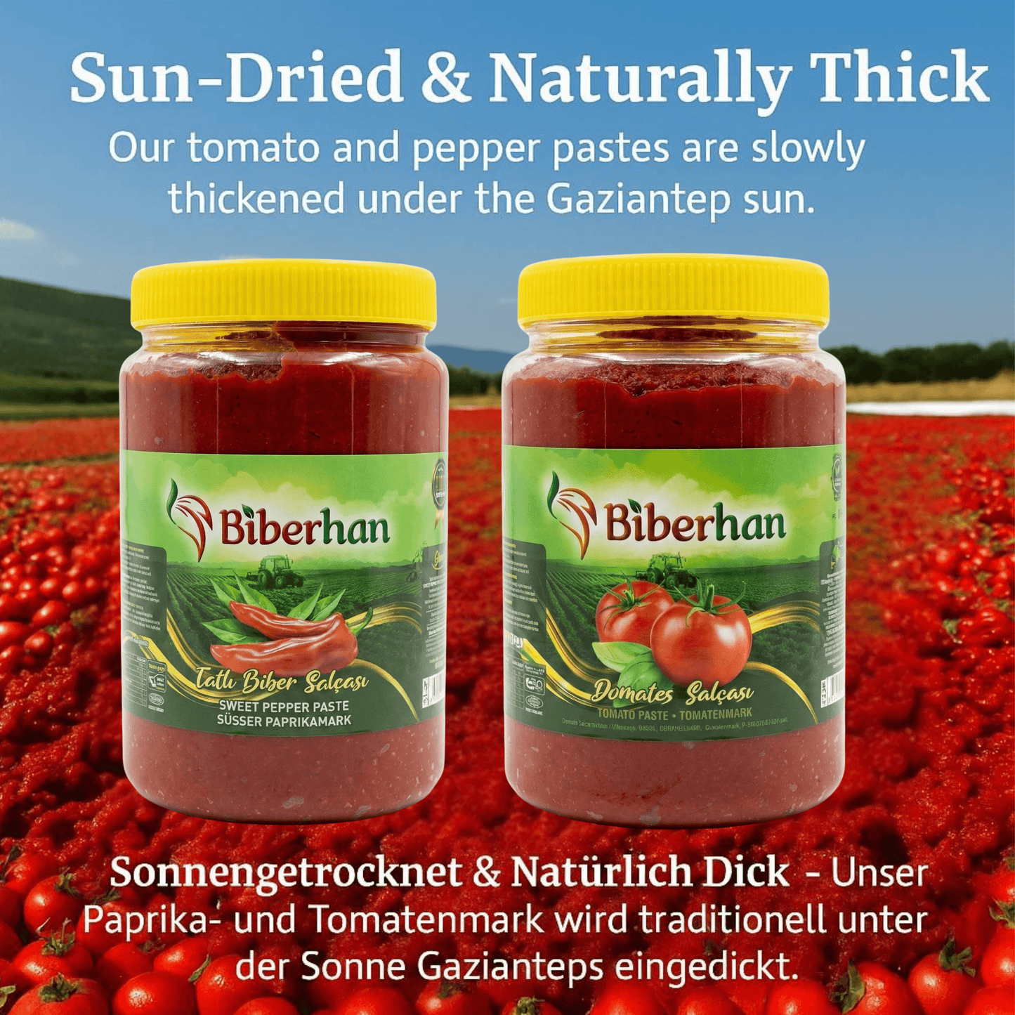 1000g Biberhan Premium Tomato Paste – Sun-Ripened &amp; Natural – Produced in Gaziantep, UNESCO City of Gastronomy – Intense Flavor &amp; Rich Consistency (1000g, Tomato Paste) 