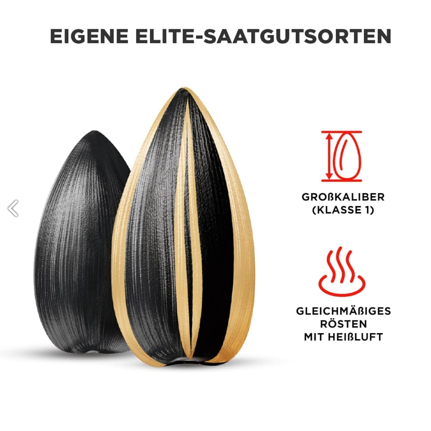 Jinn Geröstete Sonnenblumenkerne mit Schale, 10 x 300g | Perfekt für Snacks und Pausen | Ohne Zusatzstoffe, Natürlich | 100% Frisch und Knusprig (10 Stück, Gesalzen)