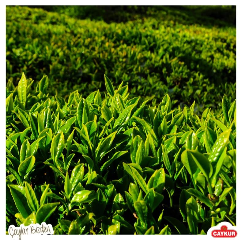 Çaykur Çay Çiçeği Siyah Çay 500g
