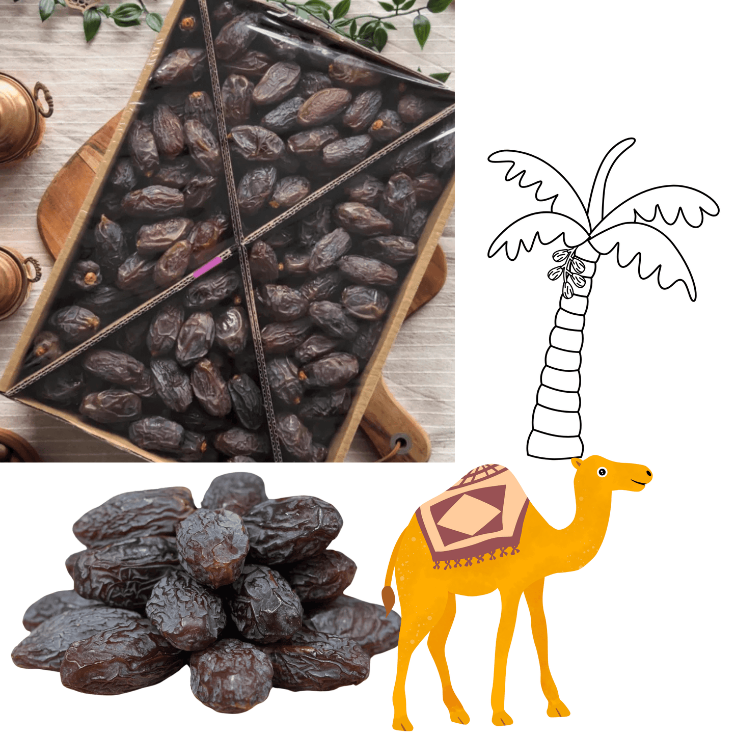 Medjoul Datteln Jumbo XL 5 kg
