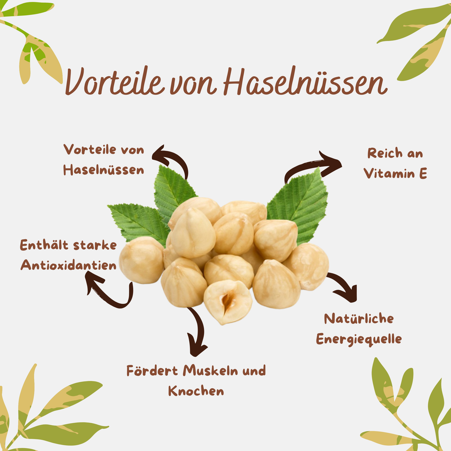 Premium Geröstete Türkische Haselnüsse 2×500g – Giresun Herkunft | Natürlich, Ungesalzen, Vegan | Hoher Protein- & Ballaststoffgehalt | Ideal zum Backen & Snacken (Geröstete Haselnüsse 2×500 g)